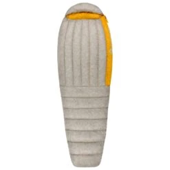Sac De Couchage Sea To Summit Spark SP1 Gris