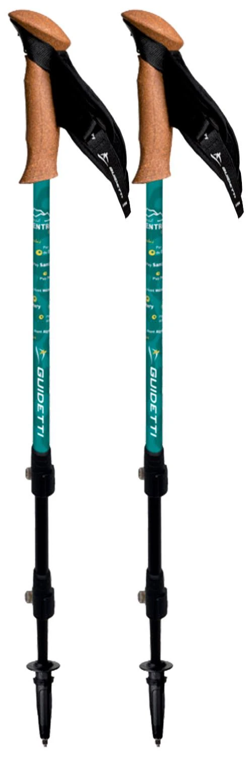 Bâton Guidetti Région Massif Central Noir 3 Bâton Guidetti Région Massif Central Noir