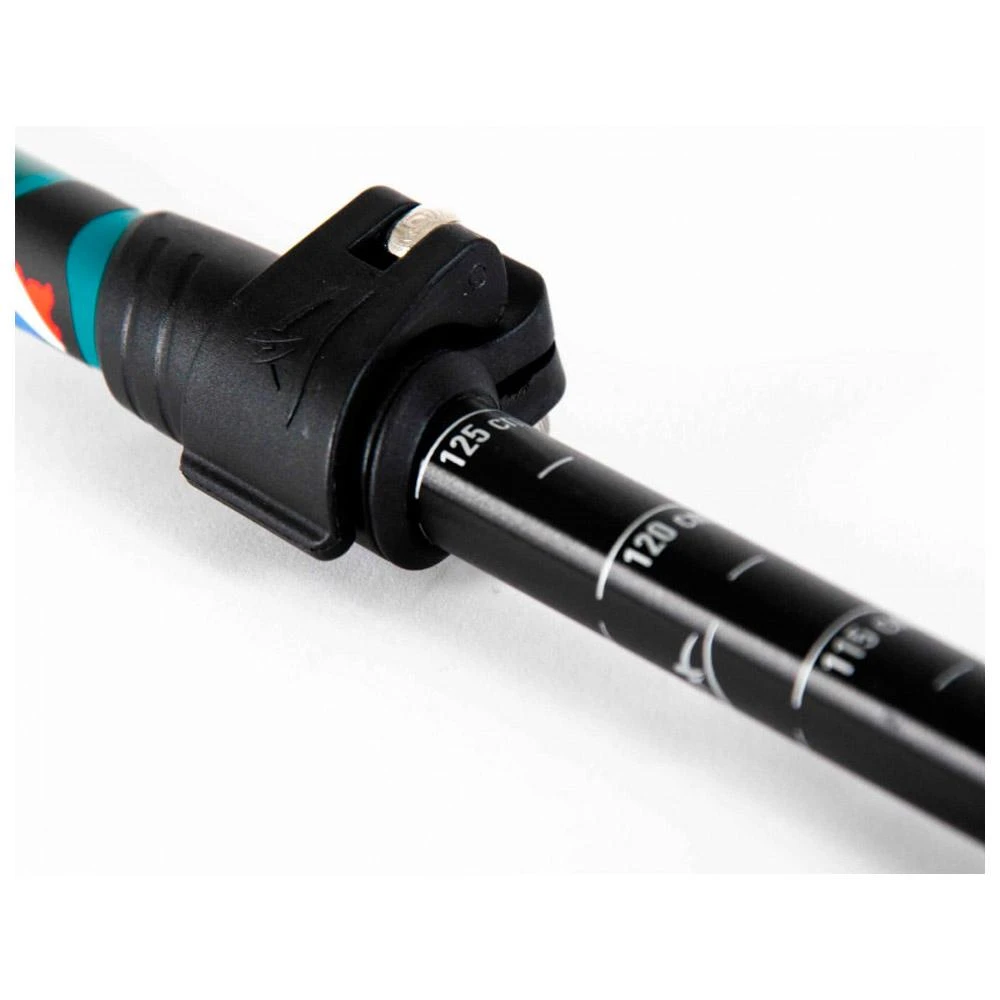 Bâton Guidetti Région Massif Central Noir 6 Bâton Guidetti Région Massif Central Noir – Image 4