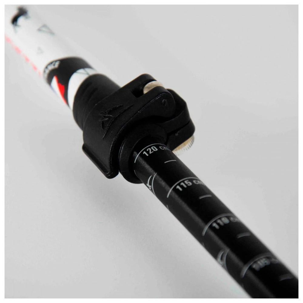 Bâton Guidetti Région Massif De Corse Blanc Noir 9 Bâton Guidetti Région Massif De Corse Blanc Noir – Image 7